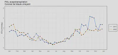 Vineyard_evapotranspiration